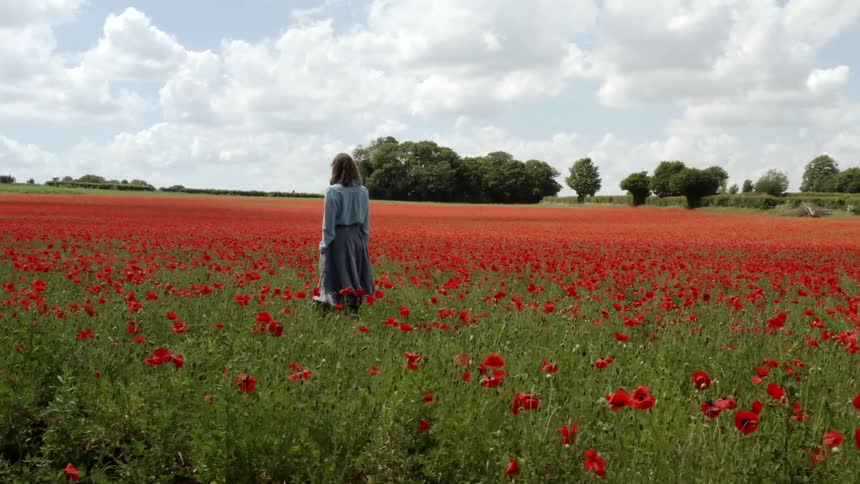 A girl is standing in a flower meadow