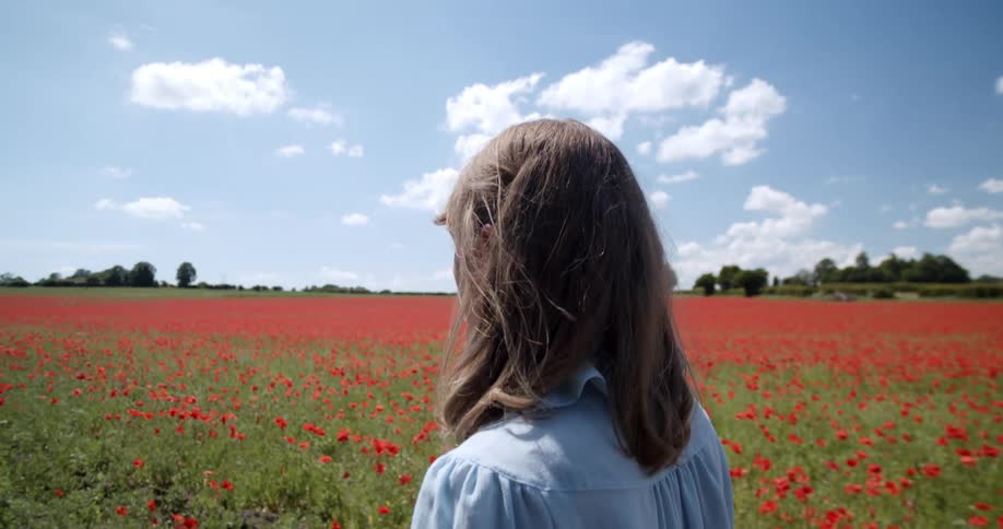 A woman walks through a field filled with bright red flowers