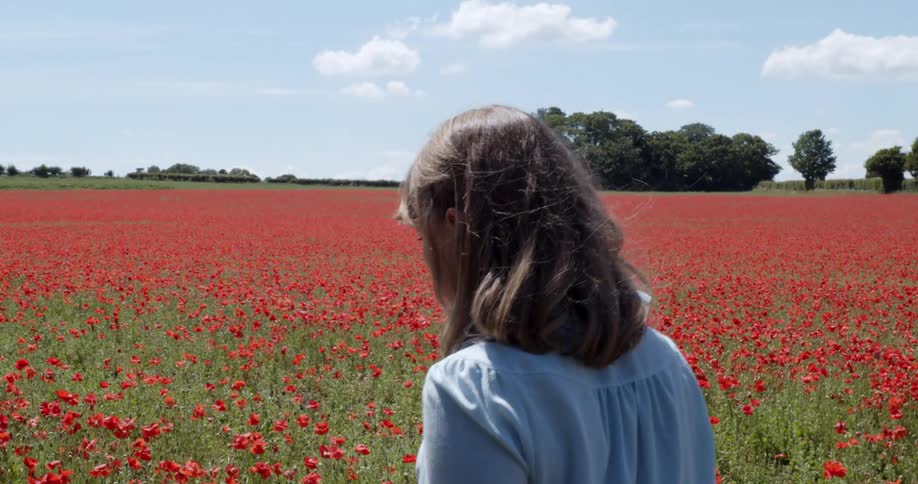 A woman walking in a grassy field with flowers trees the sky and clouds in the background
