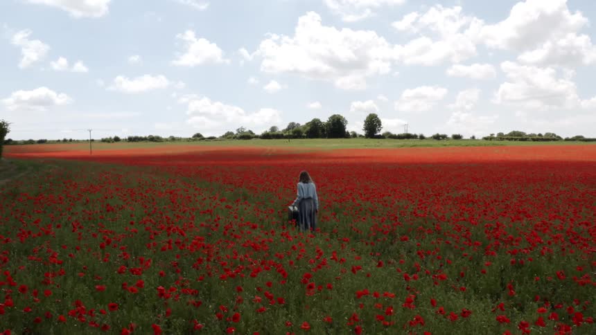 A woman carrying a suitcase walks across a field filled with flowers