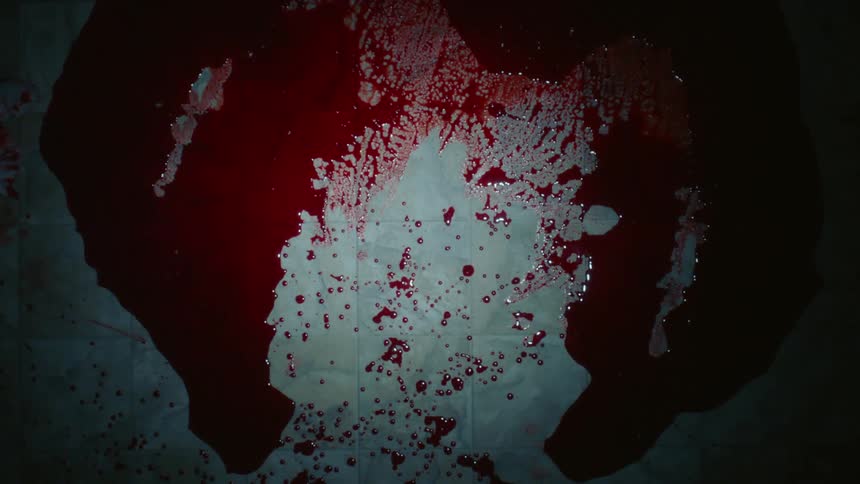 Blood puddle covers tiled floor