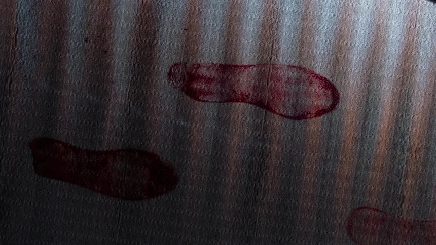 A carpet with footprints of blood with sunlight shining on it