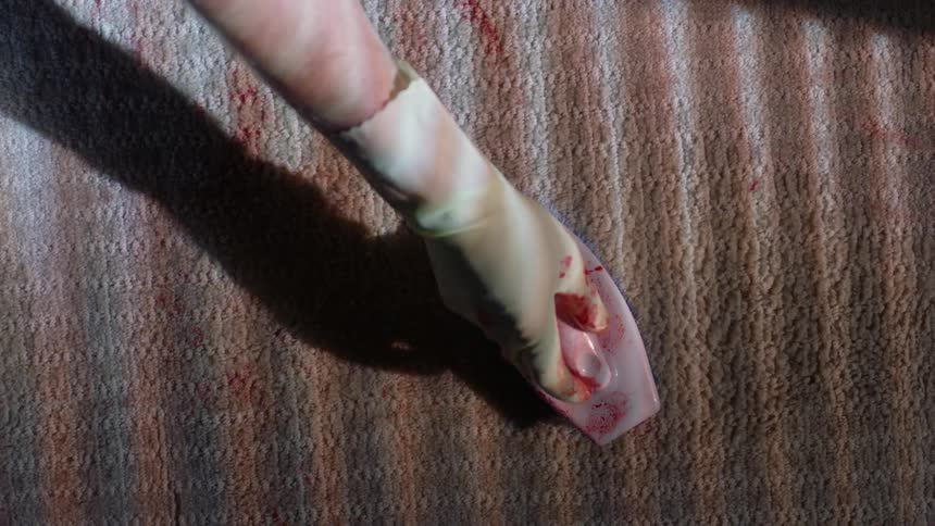 A persons hand with gloves using a scrubbing brush to scrub blood off a carpet