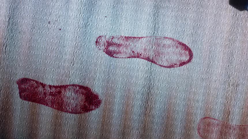 A carpet with footprints of blood with sunlight shining on it
