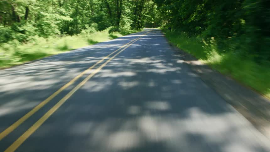 A road with forest area on both sides of it