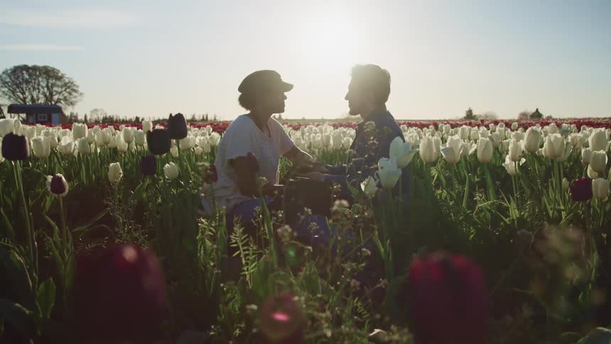 Young couple sit holding hands in a tulip field at sunset