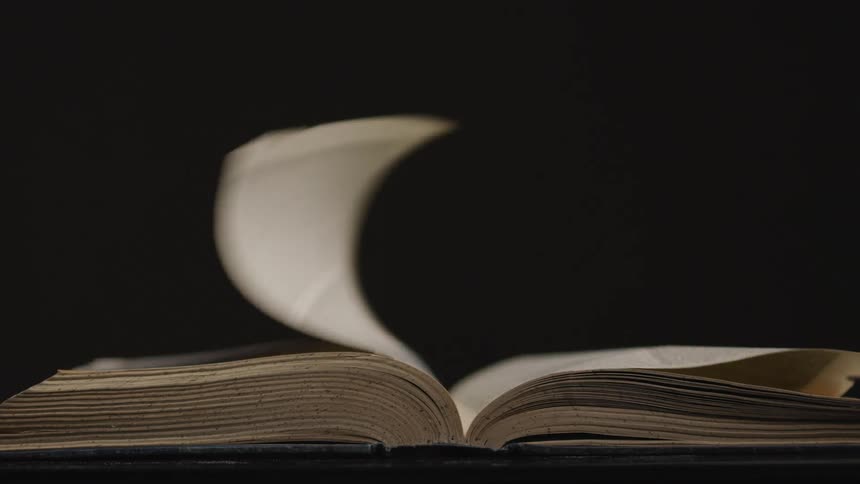 Pages being flipped in a book