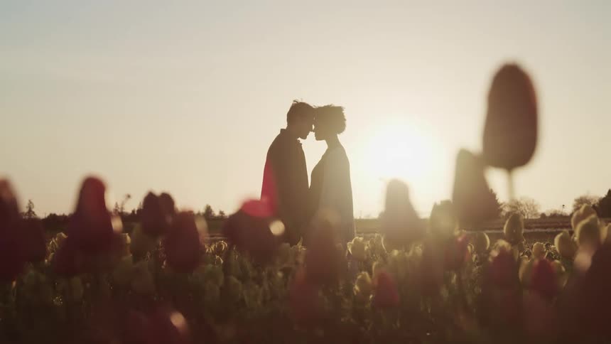A man and woman in a field of flowers face one another and put their heads together