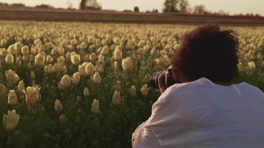 A woman takes pictures of flowers in a field