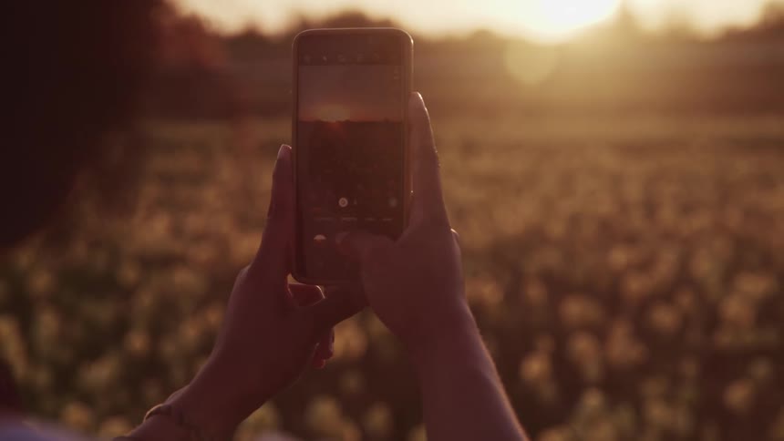 A woman takes a photograph of the flowers of meadow with her smartphone as the sun peaks over the horizon