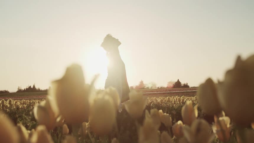 Silhouette of a woman standing in a yellow tulip field with arms wide open at sunset