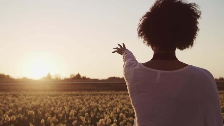 Woman standing in a white tulip field raises her hand to the sun setting in the horizon