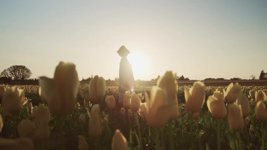 A woman standing in a field of flowers looks up at the sky