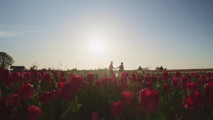A man and woman walking through a field of flowers