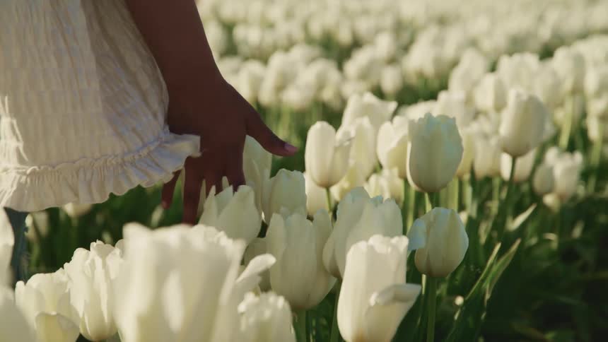 A person walking in a flower field with the sky and clouds in the background