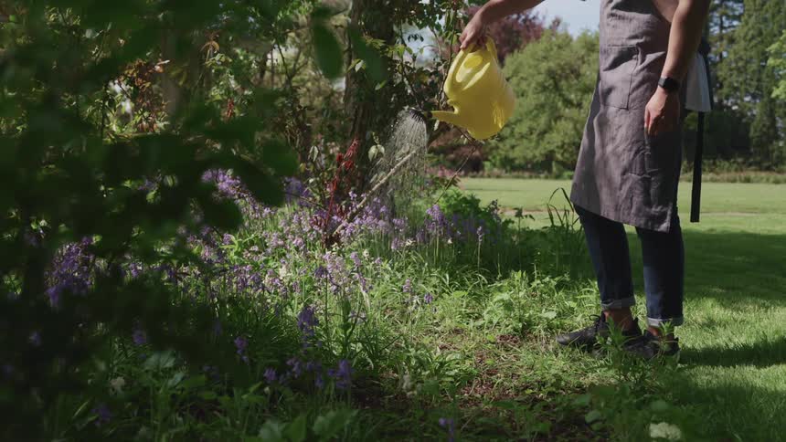 Gardener watering flowers in a garden with a yellow plastic watering can