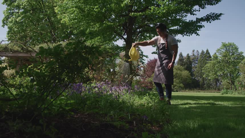 Man wearing an apron uses a yellow plastic watering can to water flower in the garden