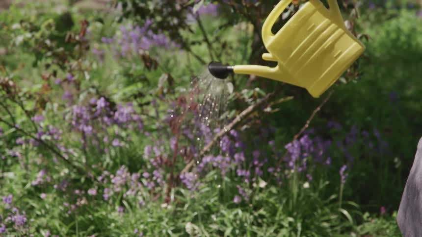 A person uses a watering can to pour water on overground flowers and grass