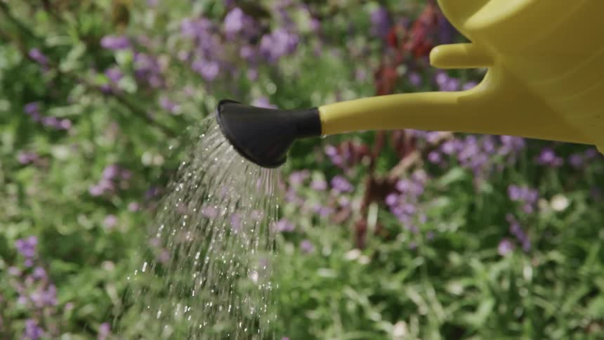 A garden being watered with a yellow plastic watering can