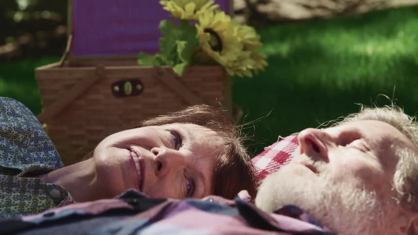 Elderly couple relaxing over a blanket in the grass next to a picnic basket