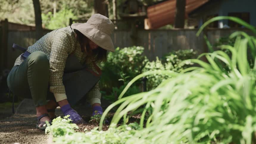 A kneeling woman plants a sprout in the soil of her garden