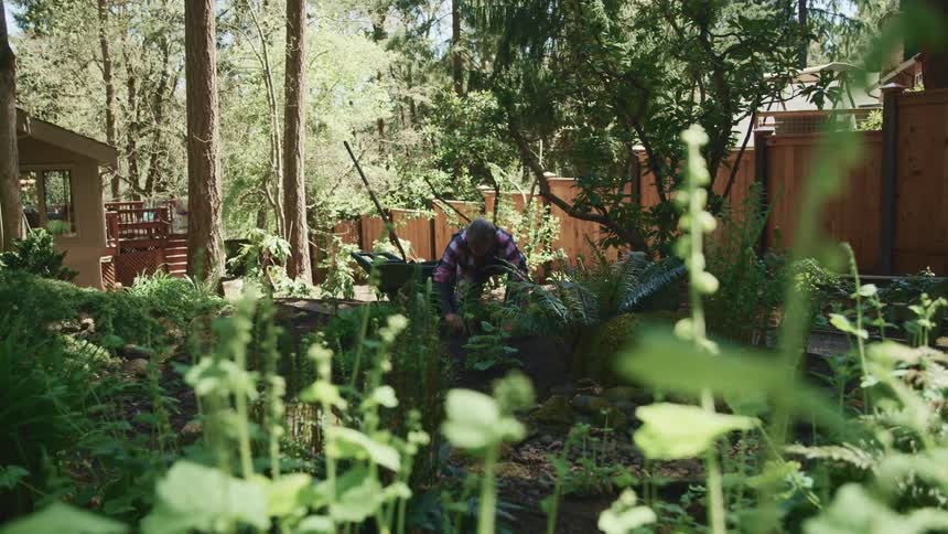 A person is bent over in their yard doing gardening