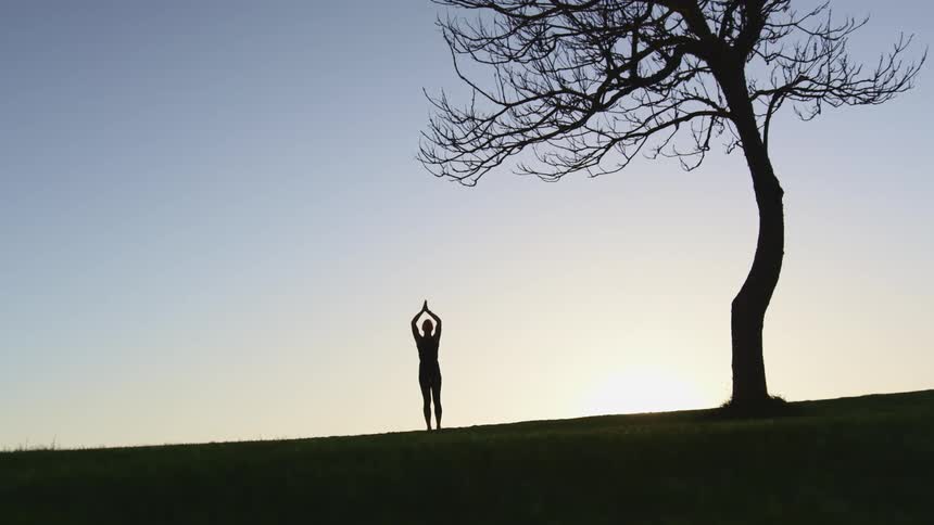 A silhouette of a person next to a tree in a grassy field with the sky and clouds in the background