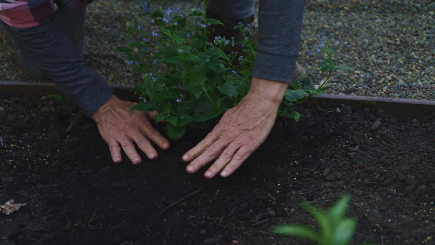 A person putting in a plant in a garden