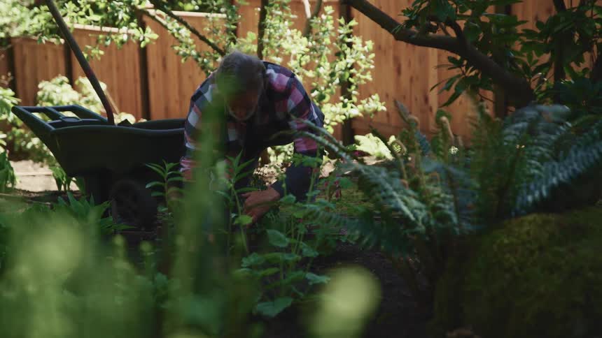 A man kneels in his garden and gently moves a plant aside with one hand so he can smooth the soil with the other