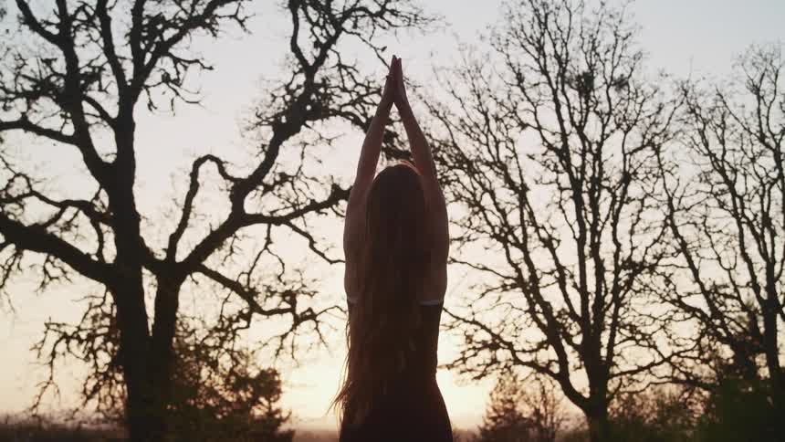 Silhouette of a woman practicing yoga near the trees at sunset