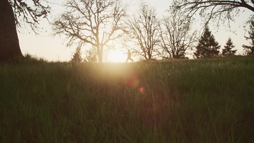 A woman does yoga in field under a low sun