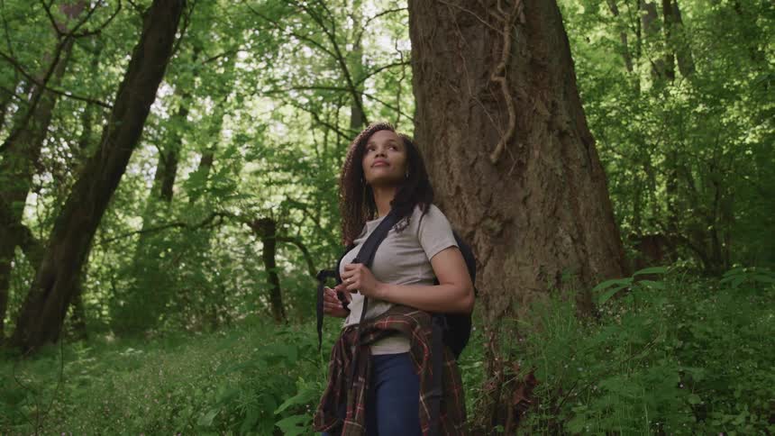 Woman with curly hair and a black backpack stands and looks up at tall trees in the woods