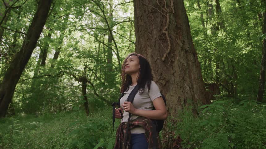 A woman hiking through the forest stops and looks around