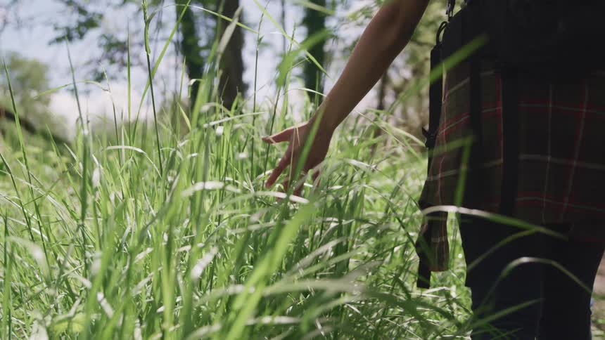 A woman walks down a path and drags her hand through tall grass as she does
