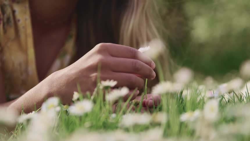 A woman is laying in a bed of flowers