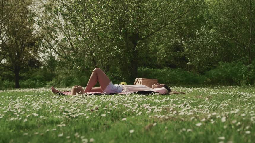 A woman is laying on the picnic blanket