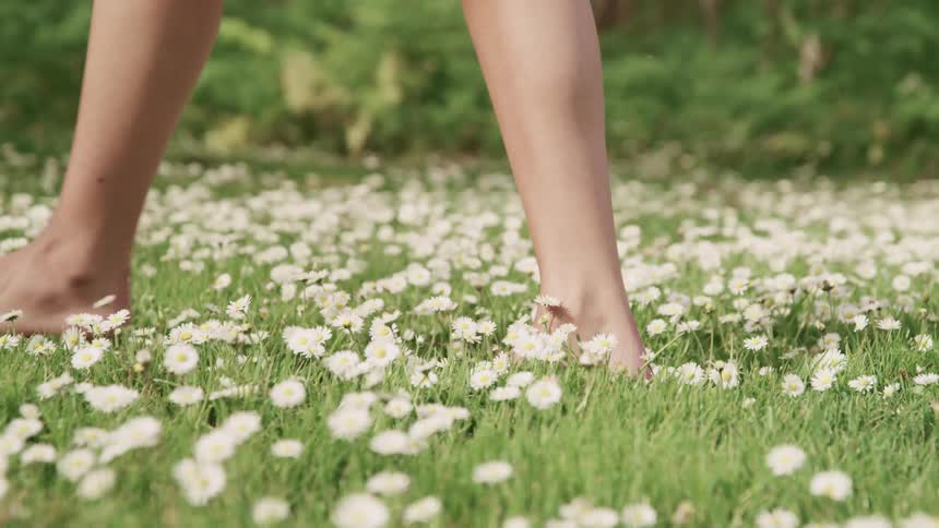 A woman walks barefoot through a meadow of white flowers and grass on a summer day