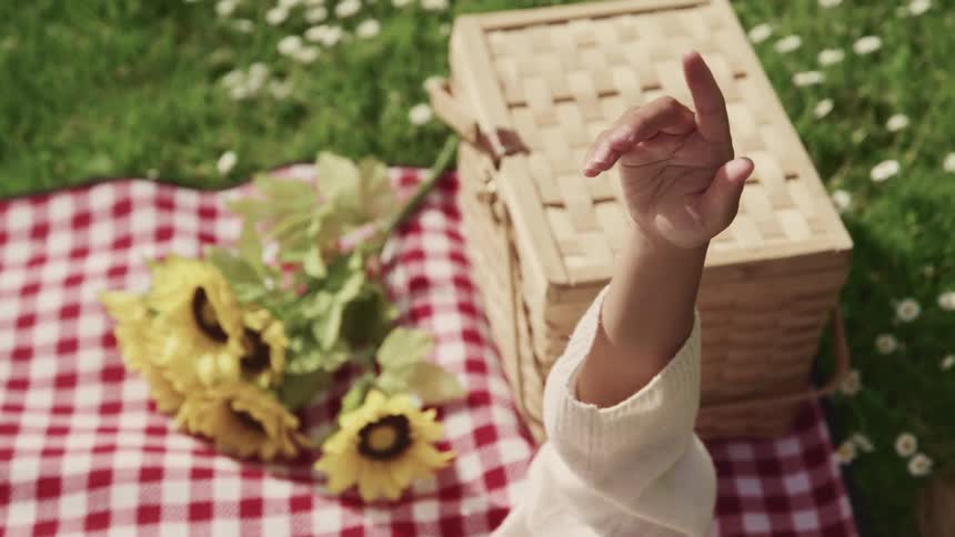 A person is reaching his arm up while laying on a picnic blanket