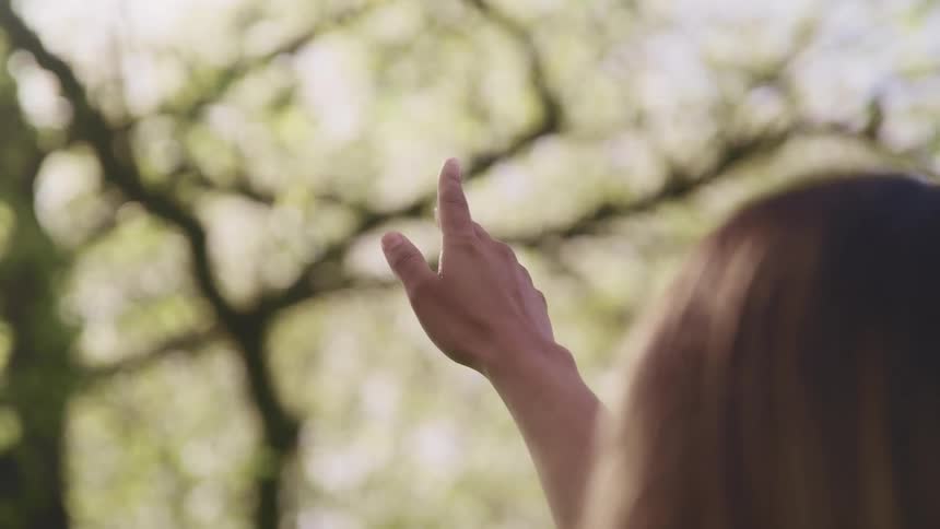 A young woman stands under trees and reaches her arm towards them