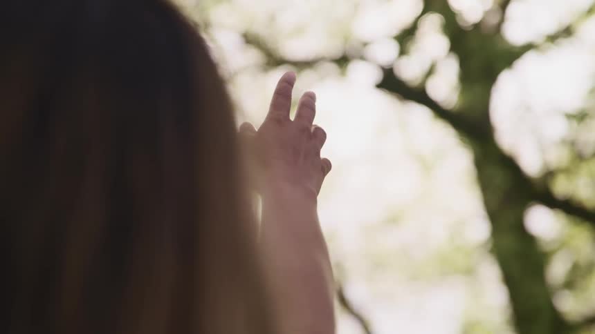 Woman extends her arm and points to a tree branch