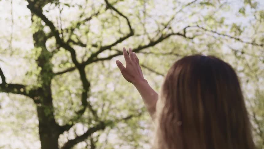 Woman stands in tree with hand reaching above her head