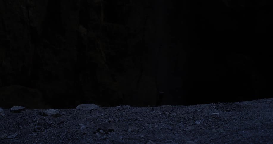Some movement can be seen in a very dark area