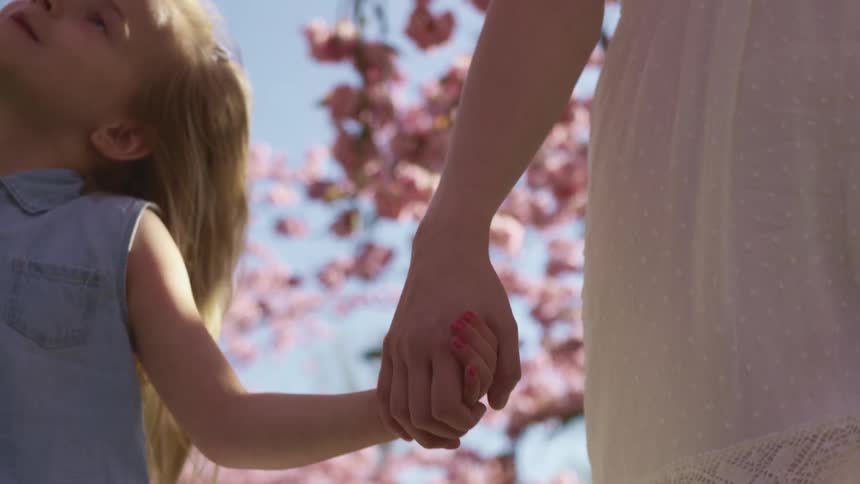A little girl and her mother hold hands as they walk under cherry blossom trees