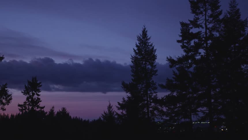 Silhouetted pine trees in front of a purple sky at dusk
