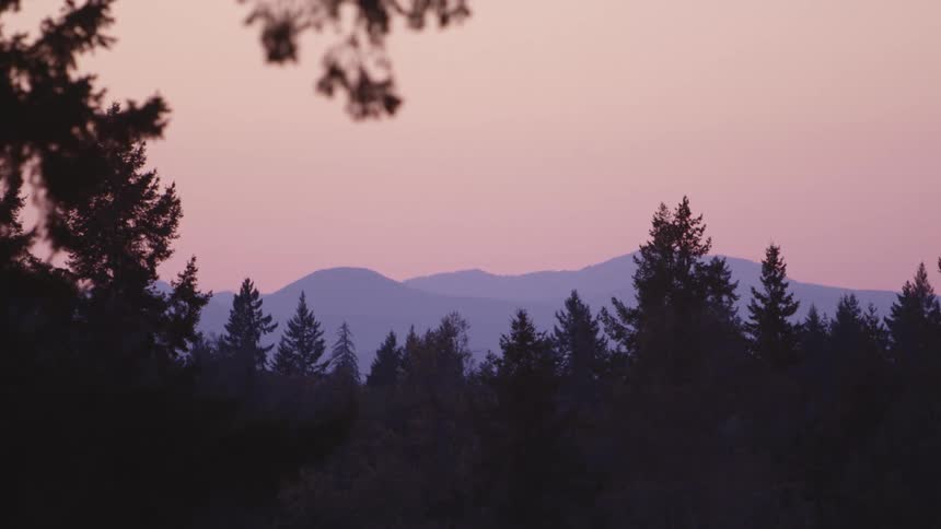 Distant mountains loom through the fog over a forest under a purple evening sky