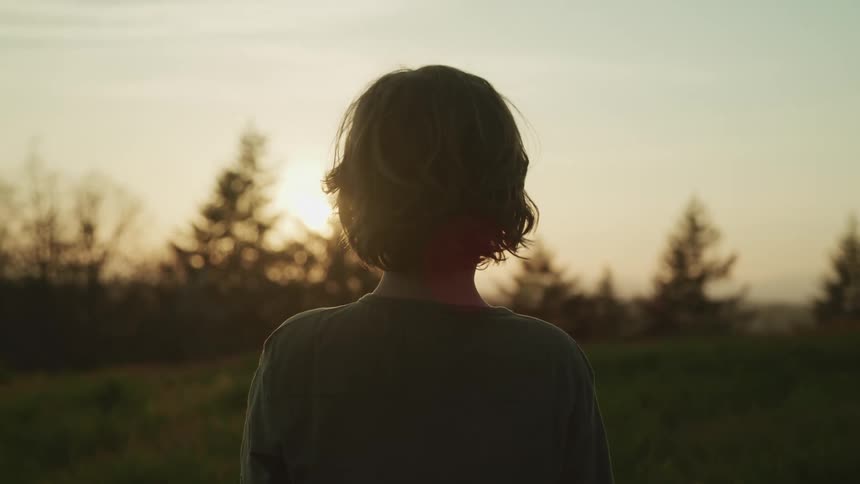 Person stands in field looking toward conifers and red sky on the horizon
