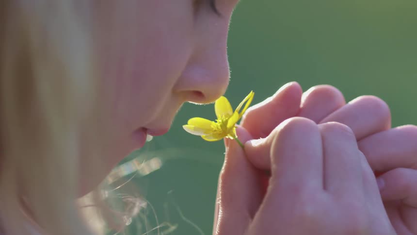 Little girl with blonde hair smells a yellow flower