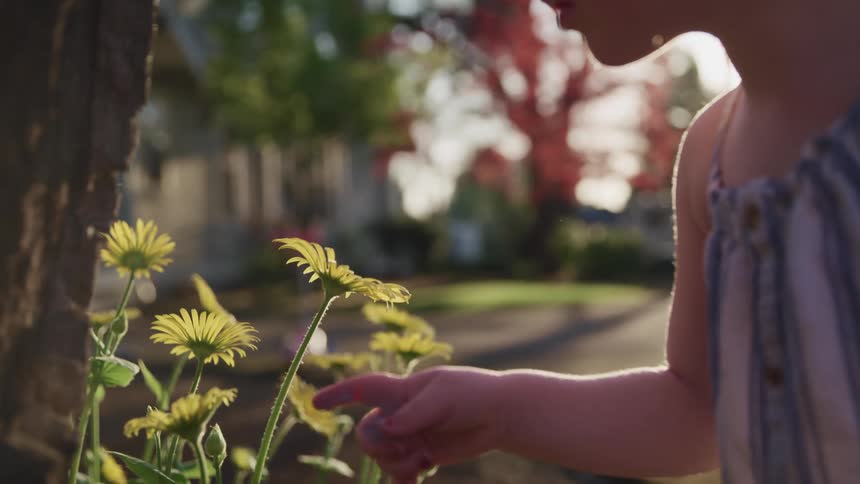 A little girl looks at flowers
