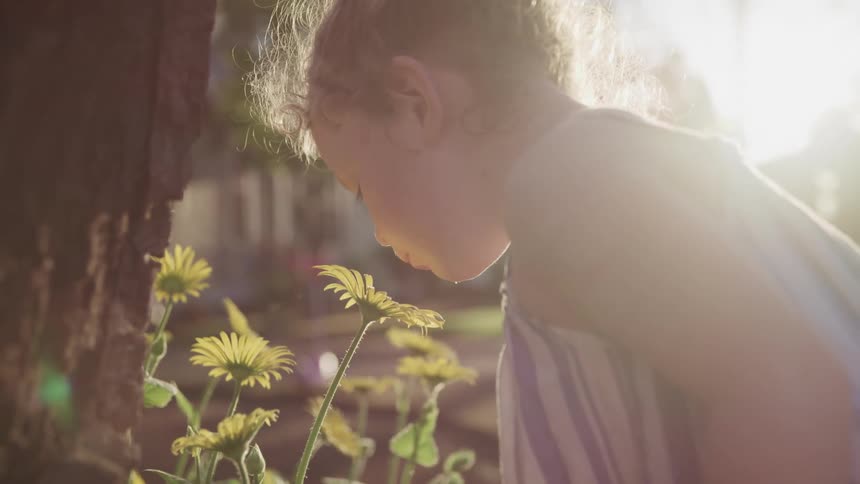 Little girl smells a yellow flower as the sun shines brightly in the background