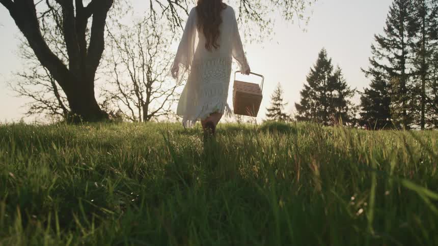 A woman carries a picnic basket across a field
